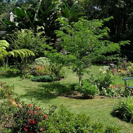 Pink House Azores Gospodarstwo wiejskie