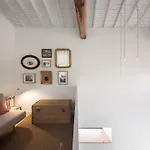 Pelago Casa de Campo