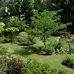 Pelago Casa de Campo