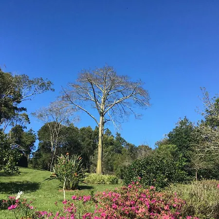 Pink House Azores Country house Ponta Delgada (Sao Miguel)