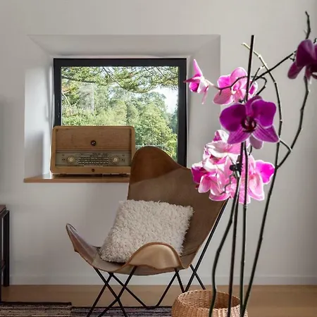 Pink House Azores Country house *