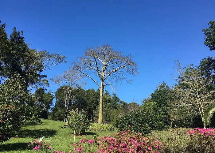 Pink House Azores Country house Ponta Delgada (Sao Miguel)